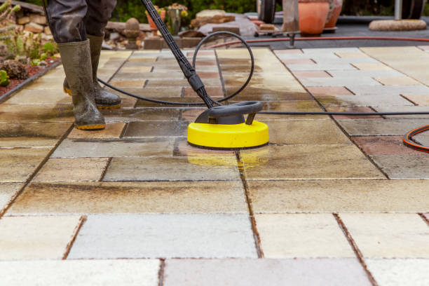 Best Animal Enclosure Cleaning  in Woodbury, NJ